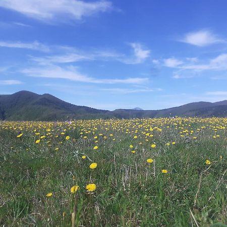 Agriturismo Becerca Vegan Serra San Quirico 外观 照片