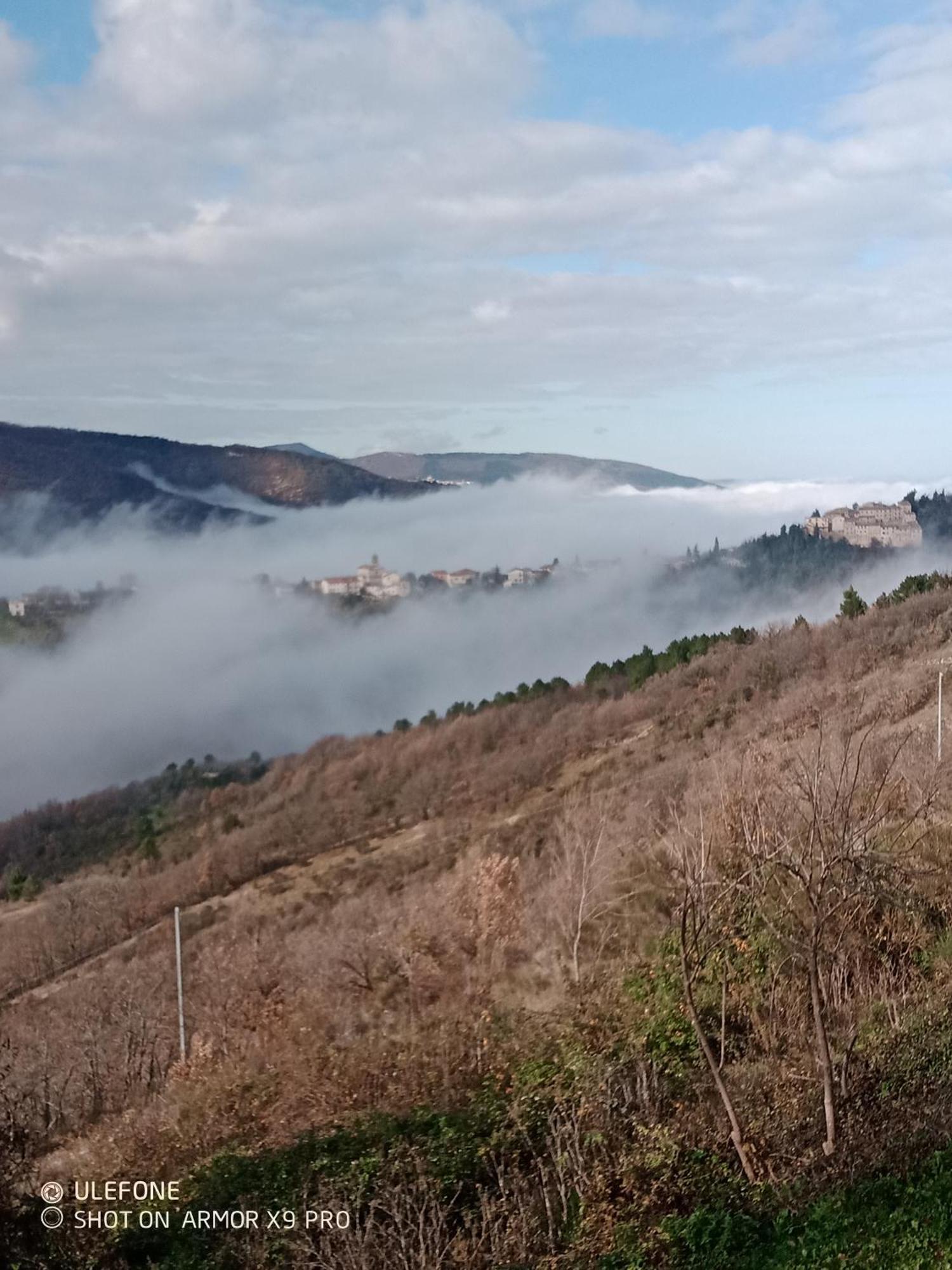 Agriturismo Becerca Vegan Serra San Quirico 外观 照片