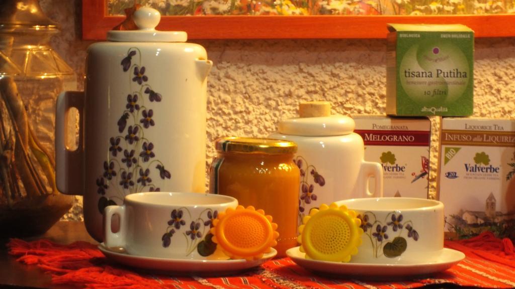 Agriturismo Becerca Vegan Serra San Quirico 外观 照片