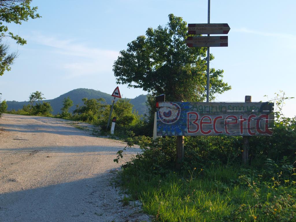 Agriturismo Becerca Vegan Serra San Quirico 外观 照片