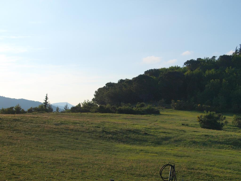 Agriturismo Becerca Vegan Serra San Quirico 外观 照片