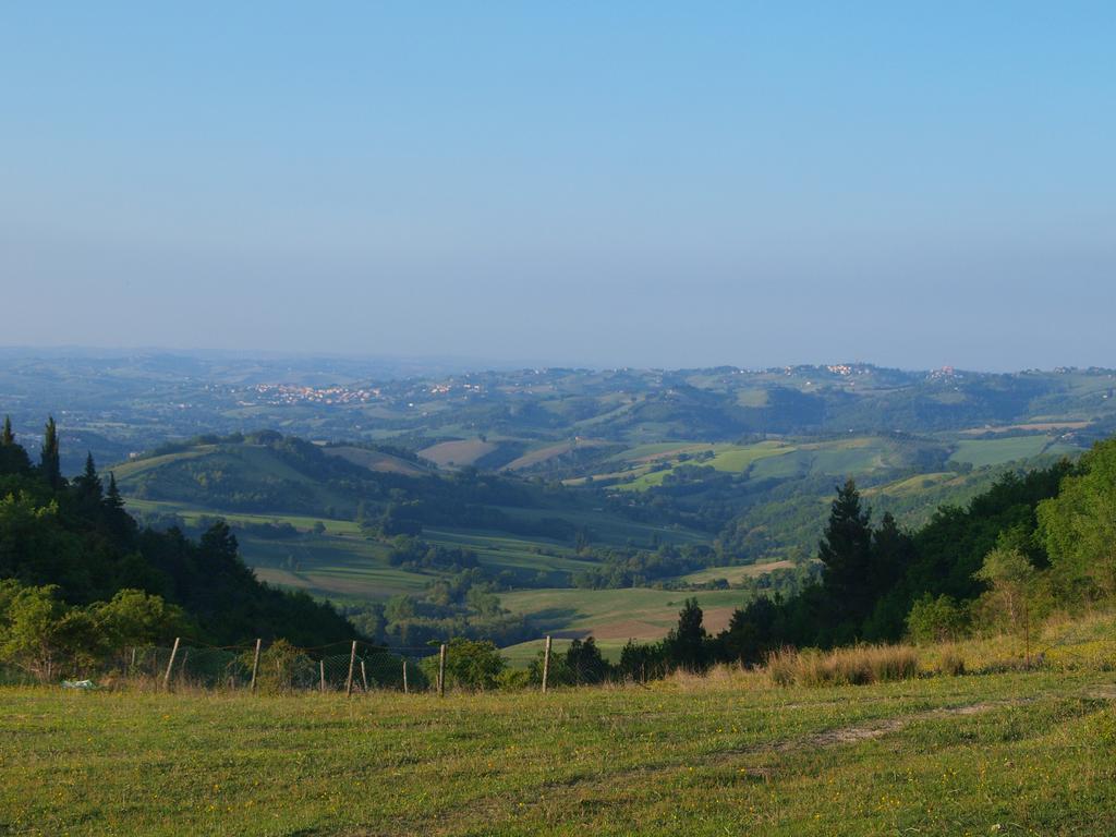 Agriturismo Becerca Vegan Serra San Quirico 外观 照片