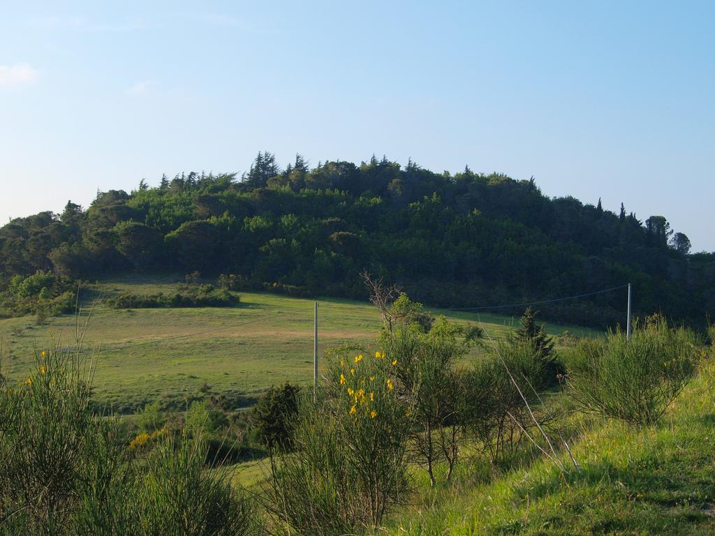 Agriturismo Becerca Vegan Serra San Quirico 外观 照片