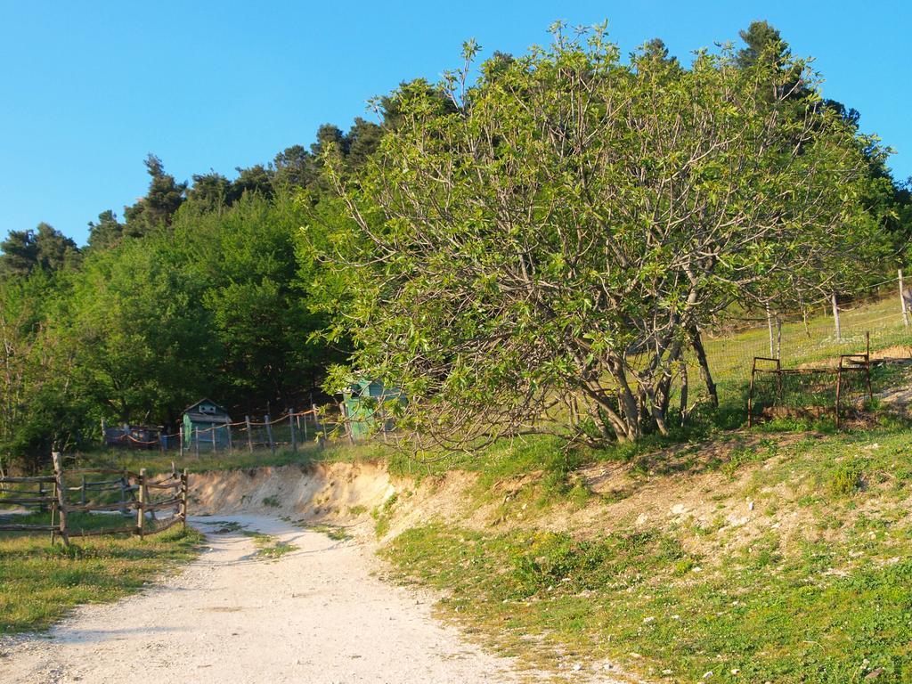 Agriturismo Becerca Vegan Serra San Quirico 外观 照片