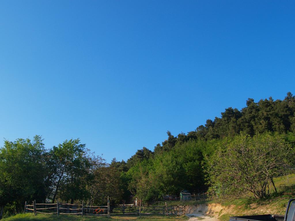 Agriturismo Becerca Vegan Serra San Quirico 外观 照片