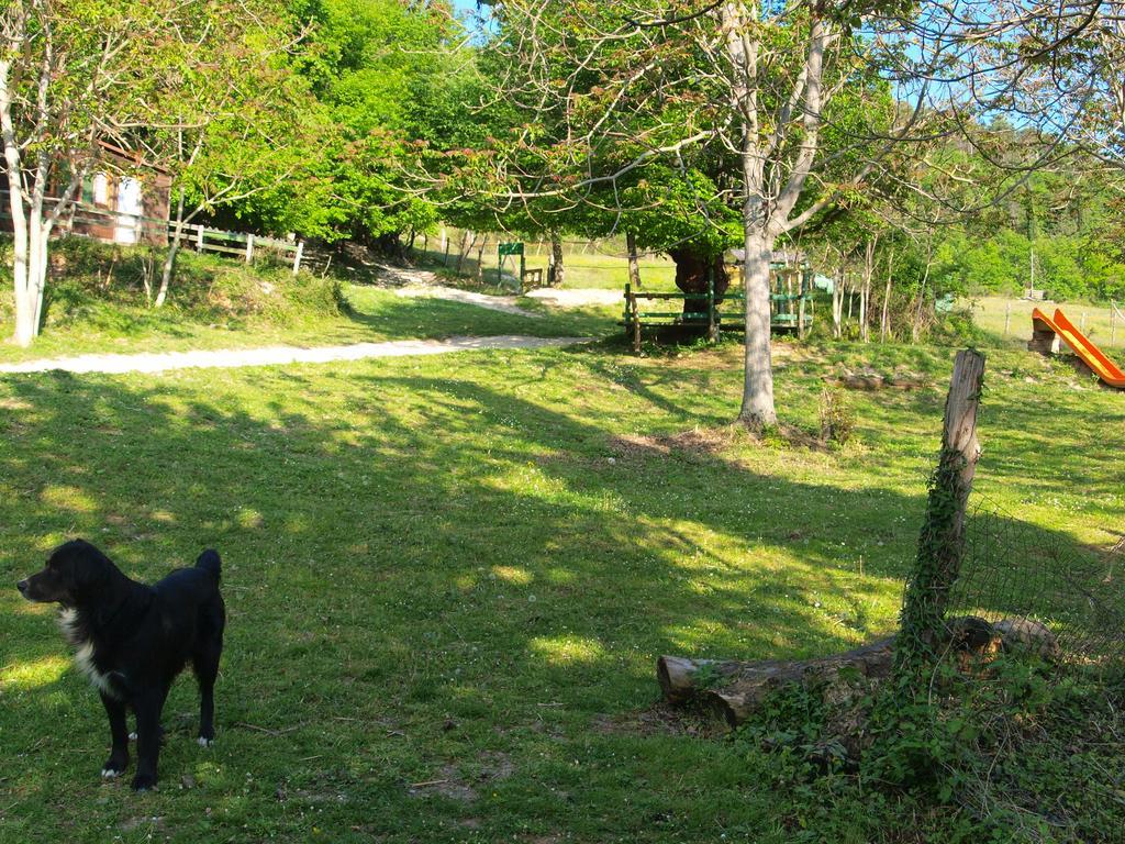 Agriturismo Becerca Vegan Serra San Quirico 外观 照片
