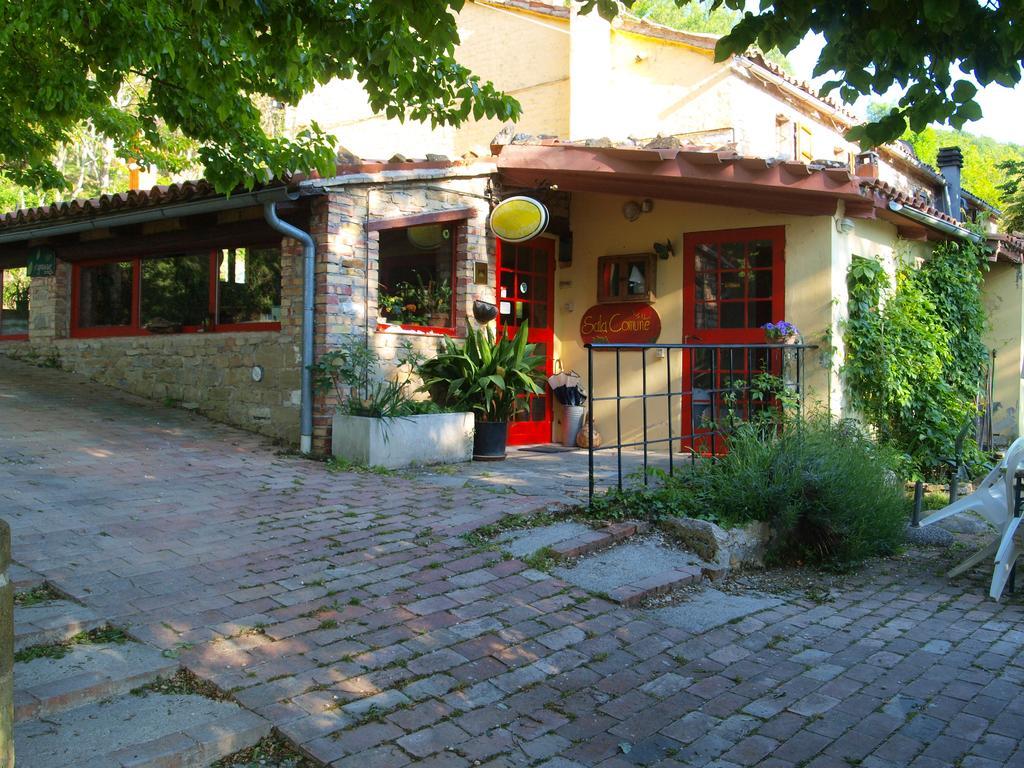 Agriturismo Becerca Vegan Serra San Quirico 外观 照片