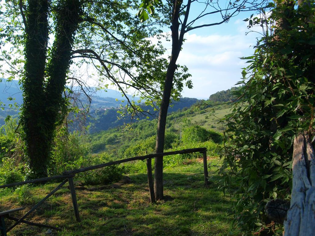 Agriturismo Becerca Vegan Serra San Quirico 外观 照片