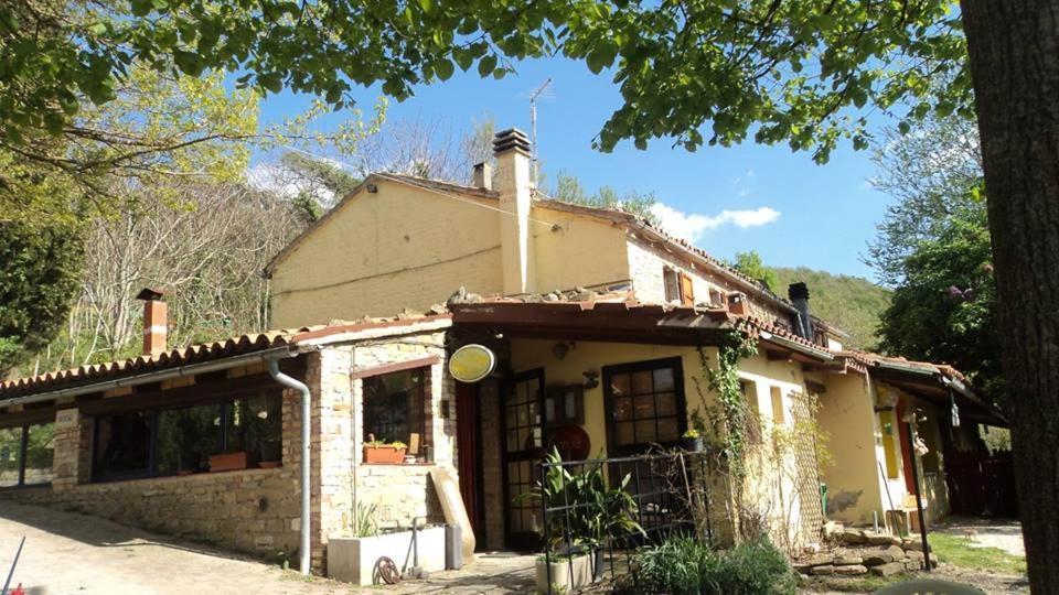 Agriturismo Becerca Vegan Serra San Quirico 外观 照片